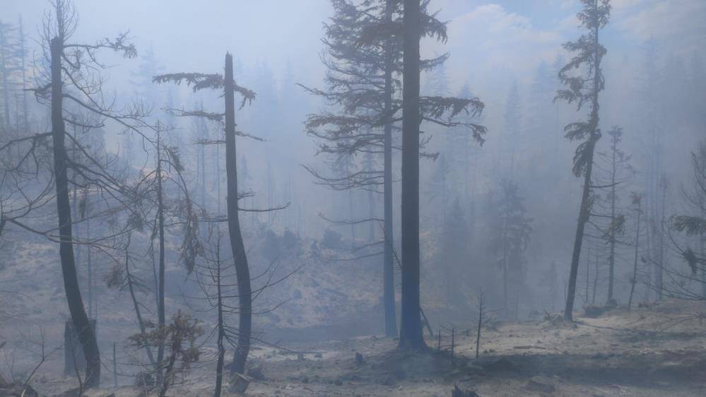 Konya’nın komşu ilinde orman yangını 6